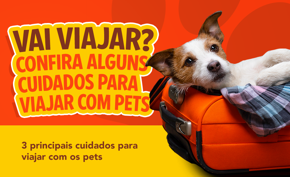 3 Cuidados para viajar com pets - Pet Shop Rei dos Animais