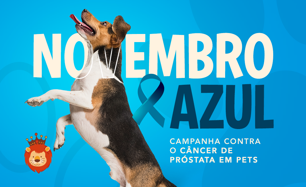 Blog do Rei - Novembro Azul Pet