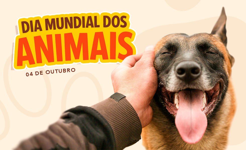 Dia Mundial dos Animais no Rei